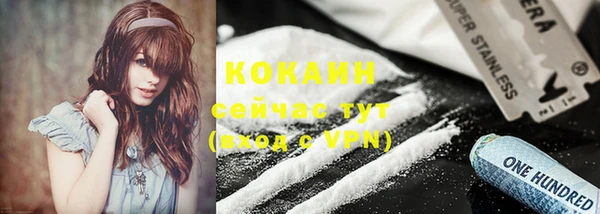 apvp Осташков