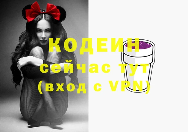 apvp Осташков