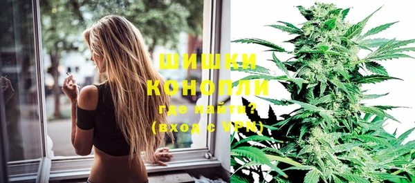 apvp Осташков
