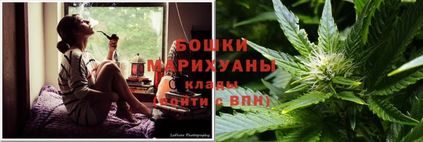 прущие грибы Новокубанск