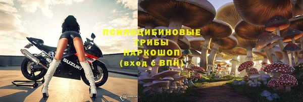 хмурый Нягань