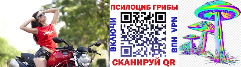 Псилоцибиновые грибы Psilocybine cubensis  купить наркотики сайты  Нижняя Тура 